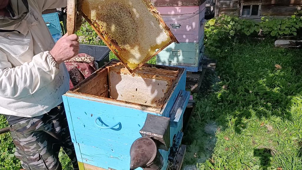  Рамки второго корпуса в рою