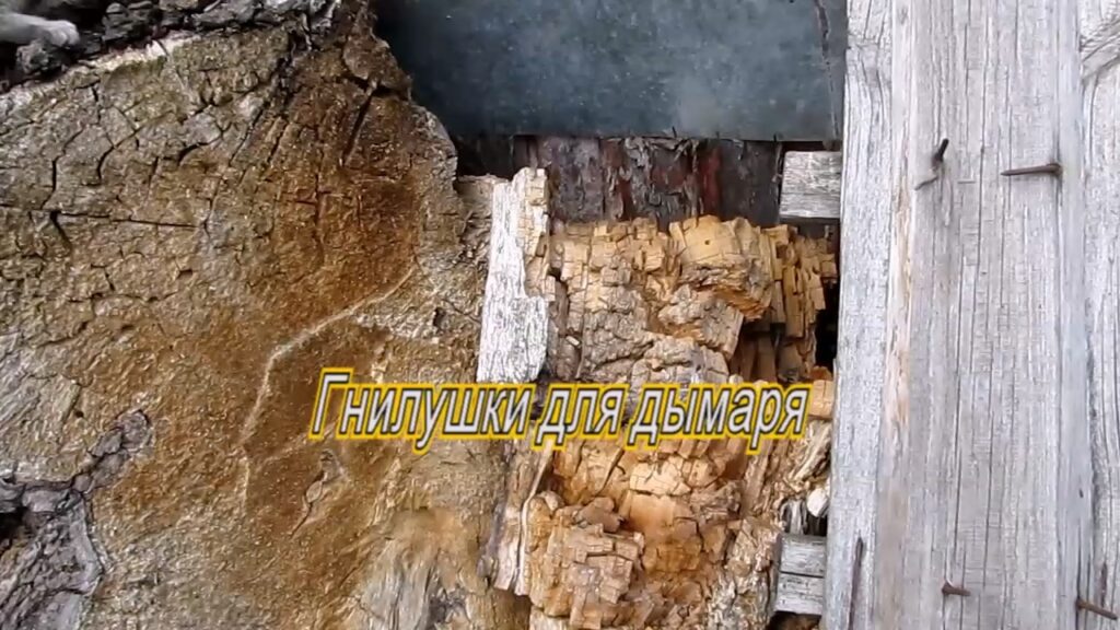 гнилушки для дымаря