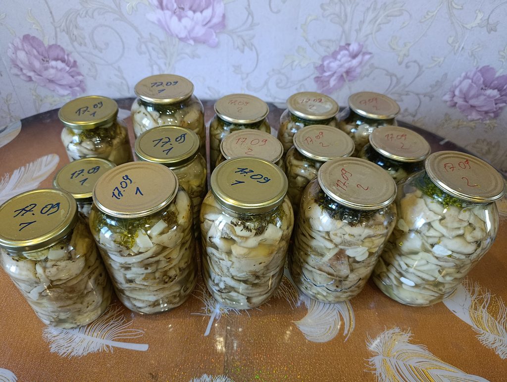 Ивовые (тополиные, осиновые) грибы  горячим способом